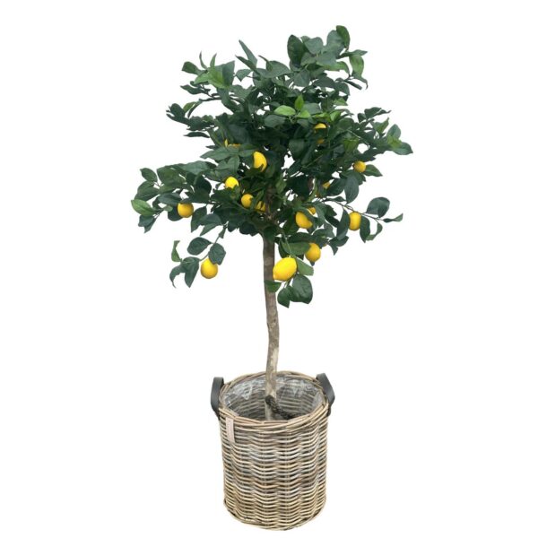 Citronträd | Konstgjort äkta trädstam & citrusfrukt 140 cm