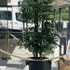 Konstgjord Rhapis - Grön palmbuske 200 cm