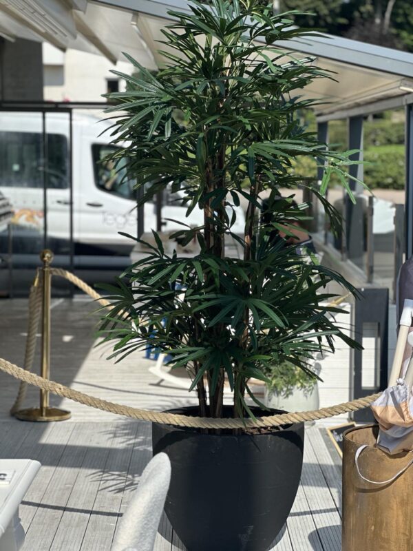 Konstgjord Rhapis - Grön palmbuske 200 cm