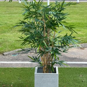 Bambu | Royal Grön småbladig UV 140 cm