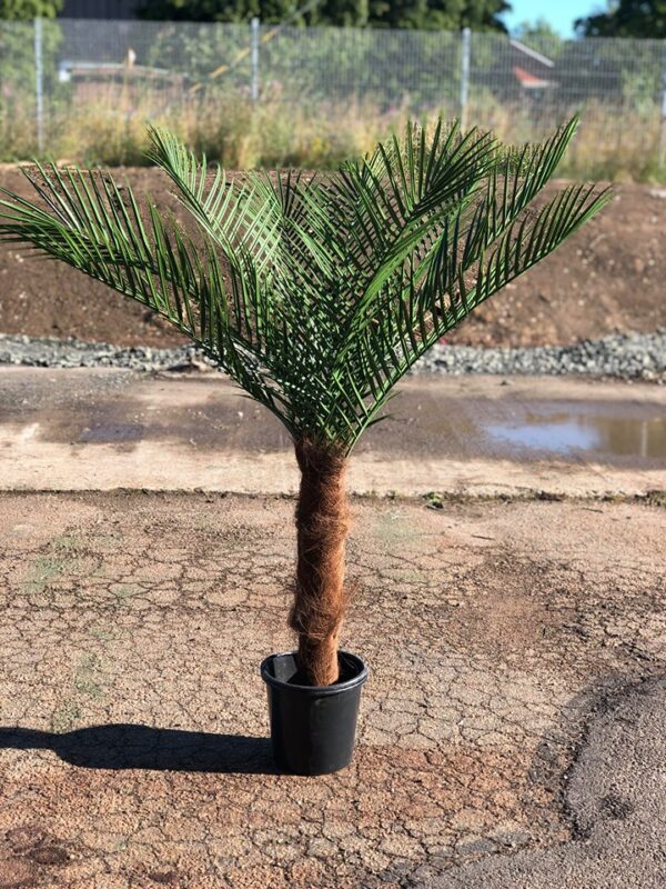 Palm | Konstgjord Kanarie äkta palmfaser Grön UV 110 cm