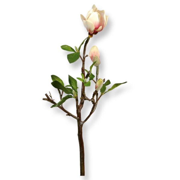 MAGNOLIA | KVIST GROV CREAM & ROSA 70 CM