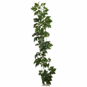 Cissus | Girlang Grön UV 114 cm