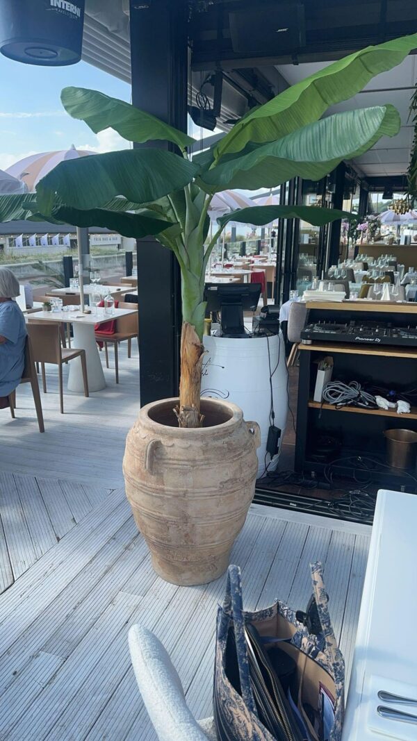 Konstgjord BANANTRÄD | BANANPLANTA/BANANPALM 210 CM