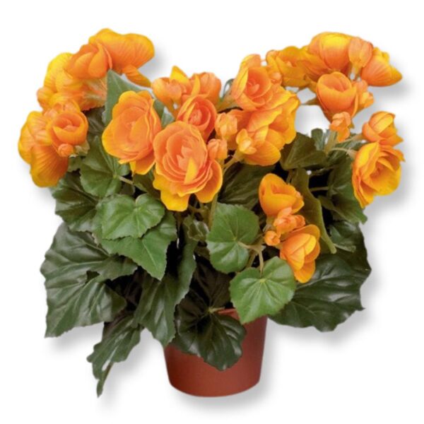 Begonia | Konstgjord orange 30 cm