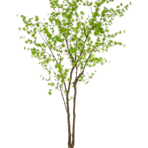 Konstgjort Tropaeolum träd 300 cm