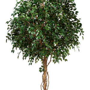 Konstgjort Ficus Exotica 360 cm