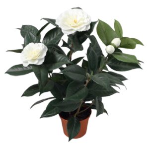 Konstgjord Camellia Japonica vit