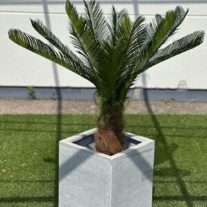 Konstgjord Cycaspalm med äkta palmfaser 100 cm