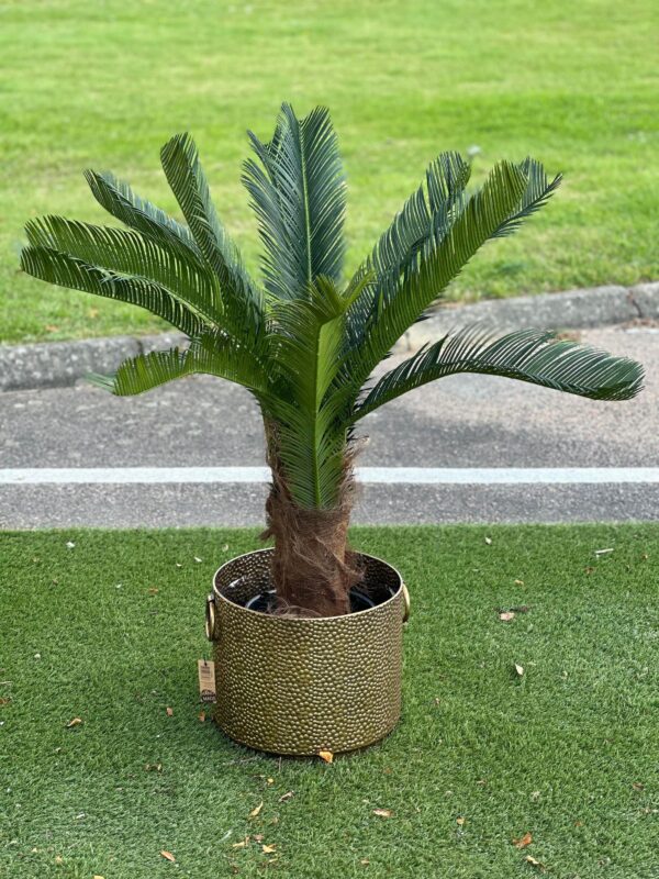 Palm | Cycas stampalm UV 100 cm