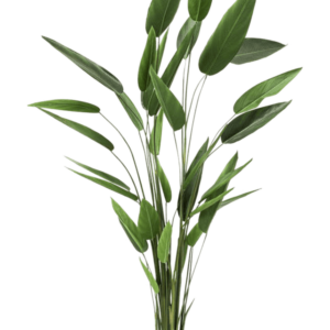 Konstgjord Heliconia 220 cm