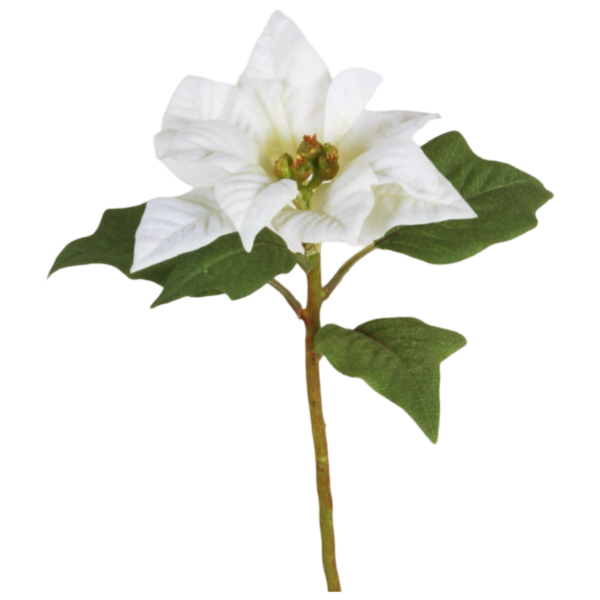 Julstjärna | Konstgjord Snittblomma Poinsettia Vit 23cm