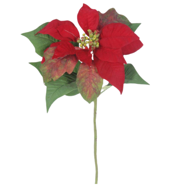 Julstjärna | Konstgjord Snittblomma Poinsettia Röd 45cm