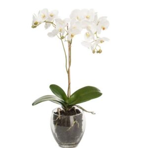 Konstgjord vit Phalaenopsis 65 cm