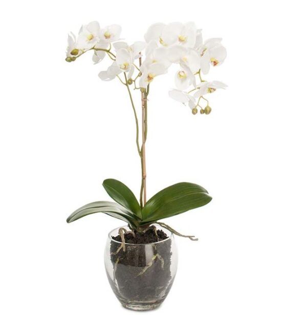 Konstgjord vit Phalaenopsis 65 cm