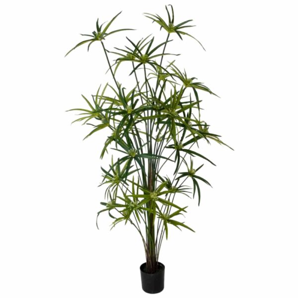 Cyperus | Konstgjord Grön 170 cm