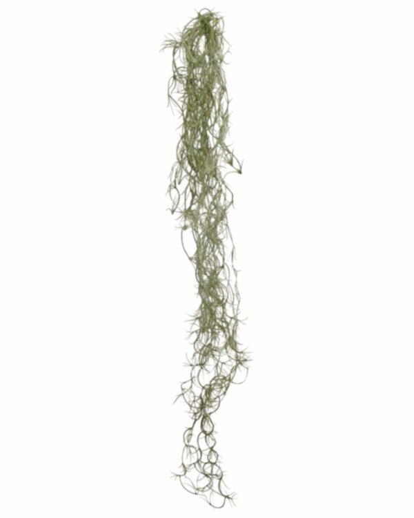 Hängväxt | Konstgjord Spanskmossa -Tillandsia Ljus Grön UV 120 cm