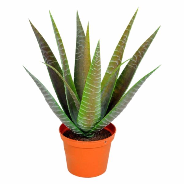 Kaktus | Konstgjord Furcraea Agave Grön UV 24 cm